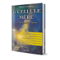 Cellule mère et l'énergie du temps