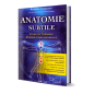 Anatomie subtile