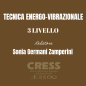 Technique énergo - Vibrationelle 3