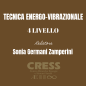 TEV 4 Tecnica Energo-Vibrazionale 4 livello